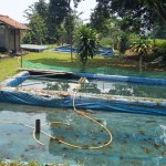 Untitled design (60)