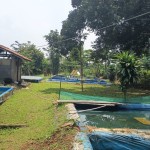 Untitled design (61)