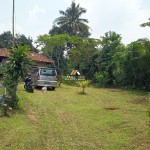 Untitled design (62)