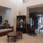 Untitled design (95)