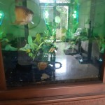 Untitled design (96)