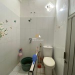 Untitled design (96)