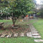 Untitled design (99)