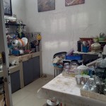 WhatsApp Image 2025-02-27 at 06.41.09 (1)