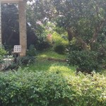 WhatsApp Image 2025-03-22 at 21.18.07 (2)