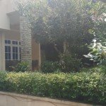 WhatsApp Image 2025-03-22 at 21.18.07 (3)