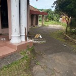 Canva 1200 x 1600 (81)