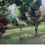 Canva 1600 x 900 (1)