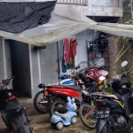 Gambar WhatsApp 2025-03-28 pukul 13.03.26_eb092beb