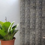 Gambar WhatsApp 2025-04-08 pukul 11.24.01_8b573806