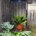 Gambar WhatsApp 2025-04-08 pukul 11.24.04_42732742