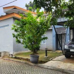 Gambar WhatsApp 2025-04-08 pukul 11.24.13_b4b245e7