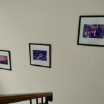 Gambar WhatsApp 2025-04-24 pukul 09.58.44_438ad863