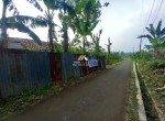 Canva 1600 x 1200 (2)