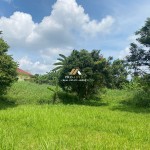 Canva 1600 x 1200 (2)