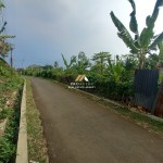 Canva 1600 x 1200