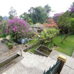 Canva 1600 x 1200 (7)