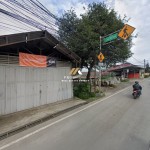 Canva 1600 x 747 (10)