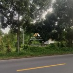 Canva 1600 x 747 (23)