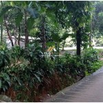 Canva 1600 x 747 (23)