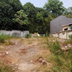 Canva 1600 x 747 (24)