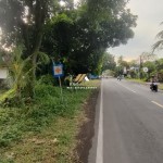 Canva 1600 x 747 (24)