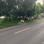 Canva 1600 x 747 (25)