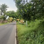 Canva 1600 x 747 (26)