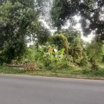 Canva 1600 x 747 (27)