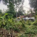 Canva 1600 x 747 (28)