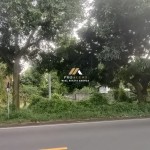 Canva 1600 x 747 (29)