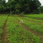 Canva 1600 x 900 (16)