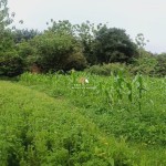 Canva 1600 x 900 (17)