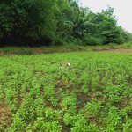 Canva 1600 x 900 (18)