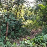 Canva 1600 x 900 (19)