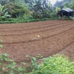 Canva 1600 x 900 (20)