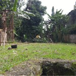 Canva 1600 x 900 (3)