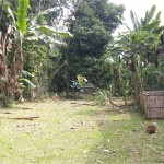 Canva 1600 x 900 (4)