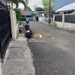 Canva 900 x 1600 (12)