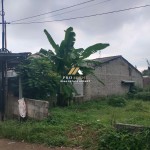 Untitled design (47)