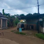 Untitled design (48)