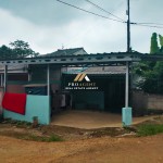 Untitled design (53)