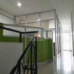Untitled design (61)