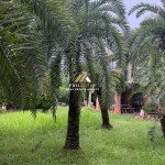 Canva 1200 x 1600 (11)