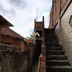 Canva 1200 x 1600 (11)