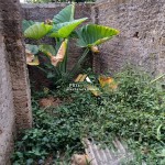 Canva 1200 x 1600 (13)