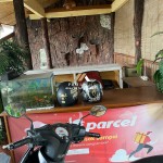Canva 1200 x 1600 (21)