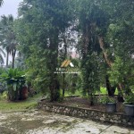 Canva 1200 x 1600 (24)