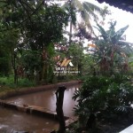 Canva 1200 x 1600 (3)