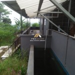 Canva 1200 x 1600 (8)